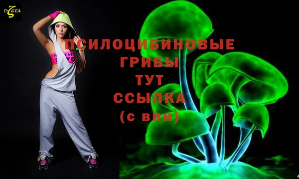 apvp Нефтекумск