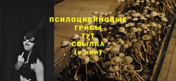 скорость Нея